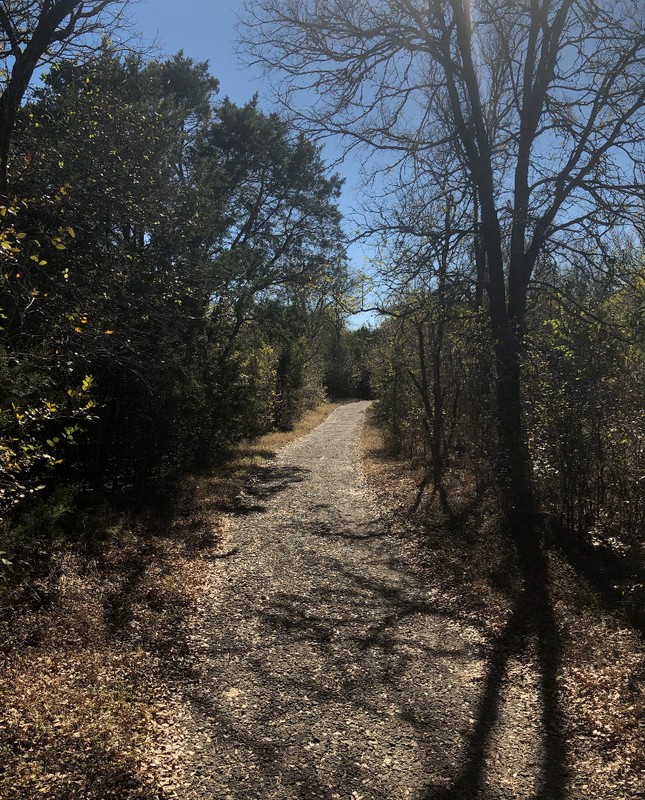 Path of Little Oak Camping Area trail at McKinney Falls State Park.