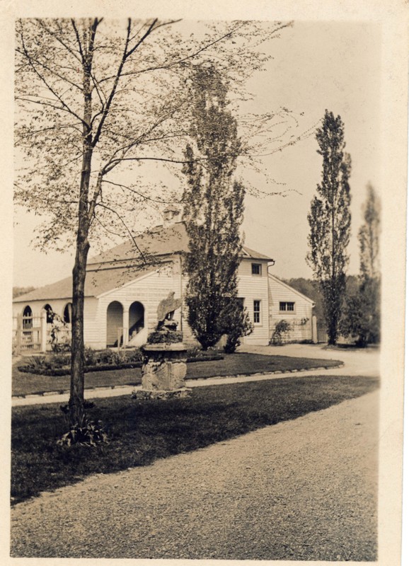 Young elm tree, eagle, and Lombardy poplars after 1923