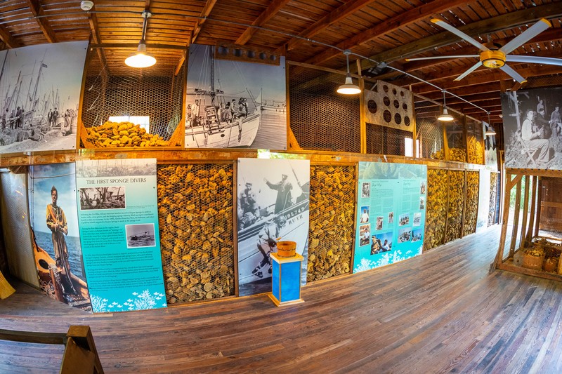 Exhibit within the Sponge Warehouse