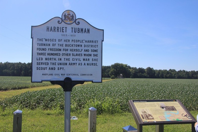 The Brodess Farm historical marker in Bucktown, Maryland. 