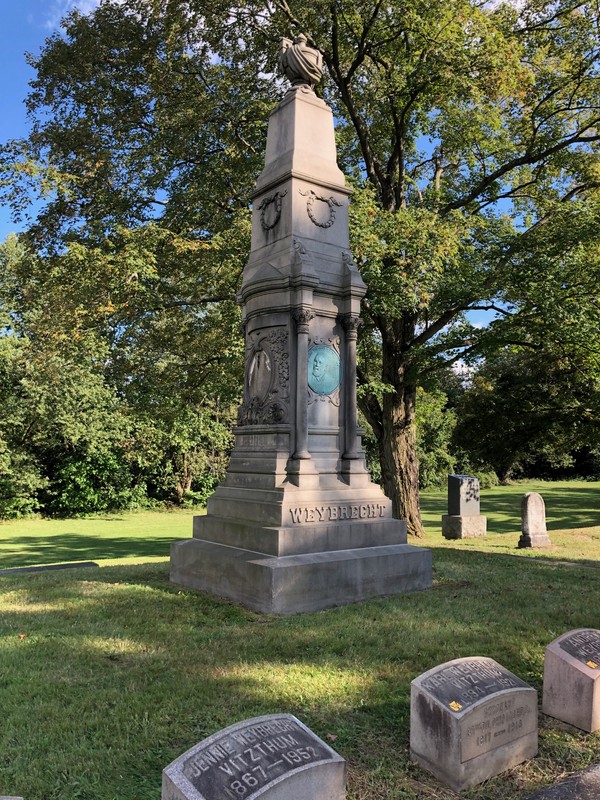 Plant, Cemetery, Nature, Tree