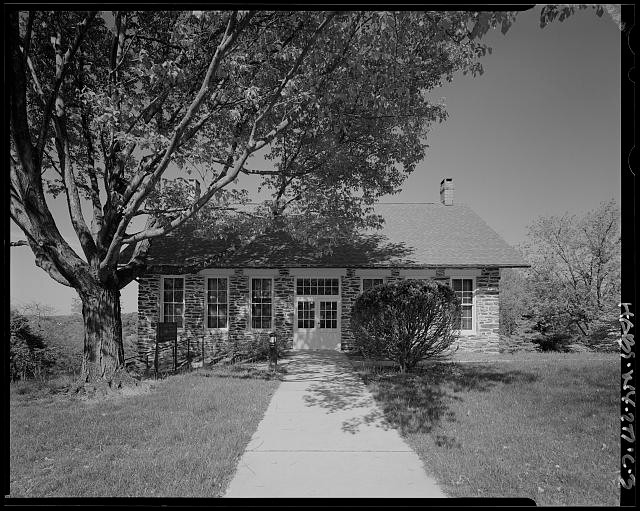 Plant, Tree, Window, Building