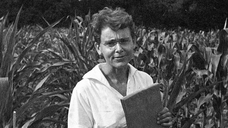 Black, Human, Botany, People in nature