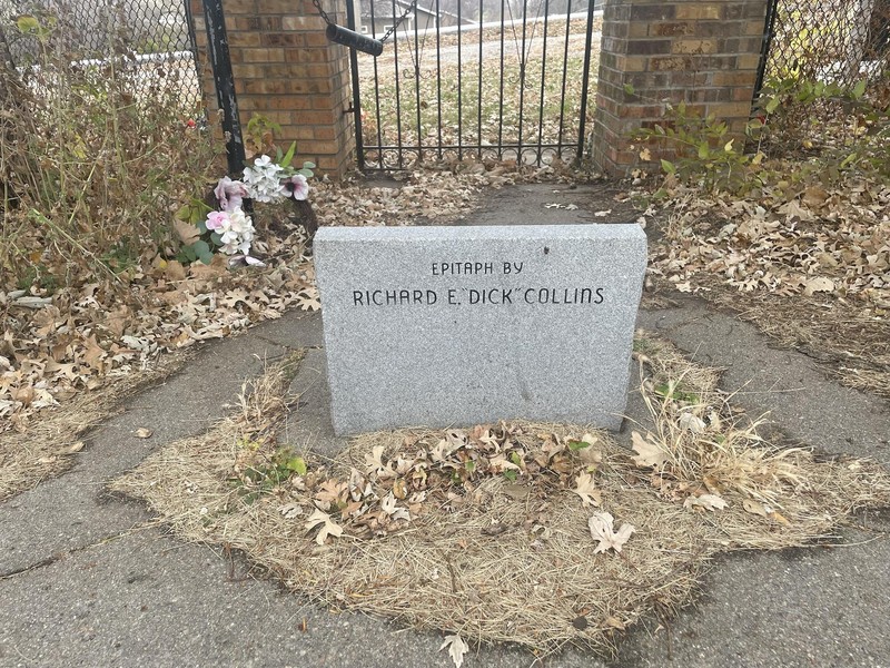 Plant, Grass, Headstone, Cemetery