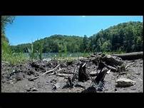 A Natural View of the Greenbo State Lake Resort Park 