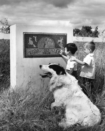 Fred Ford built this monument in 1947, using money and small stones sent from dog-lovers across the globe.The monument was placed near the location where Old Drum was killed. Unfortunately, the base of the monument was vandalized. 