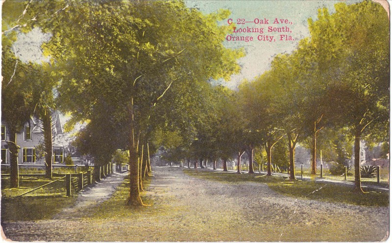 "C-22 Oak Ave., Looking South, Orange City, Fla." Post card c.1913.  Thursby house is just visible on the left side. Courtesy postcard collection of Kimberly Reading.