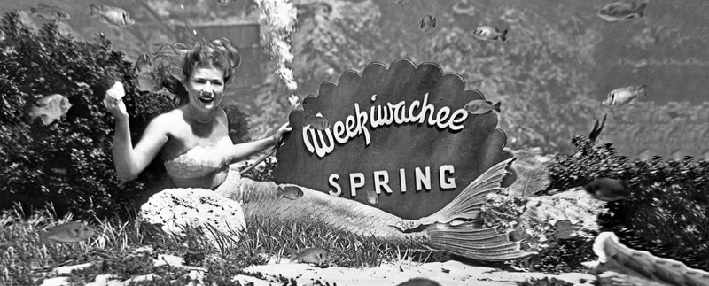 One Weeki Wachee's world-famous mermaids. 