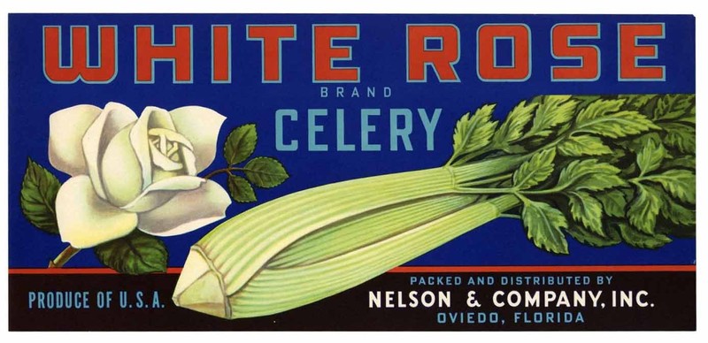 Old label that would have been put on a crate. approximate age is 1940s.