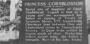 Up close and readable version of Princess Cornblossom Marker