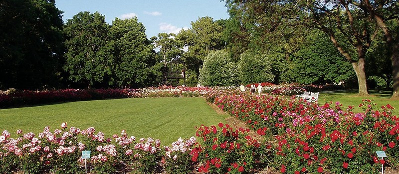 Photo of the "The Long Mall" by the Columbus Park of Roses Foundation