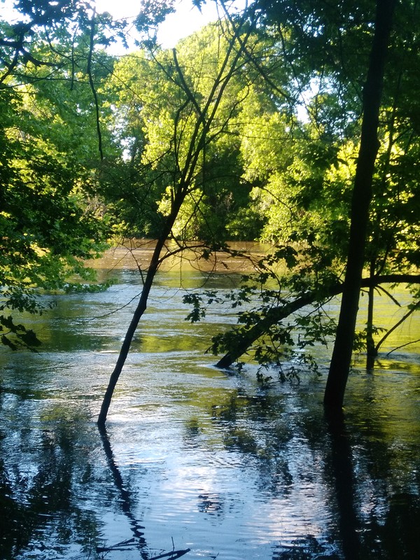 Nature, Body of water, Tree, Natural landscape