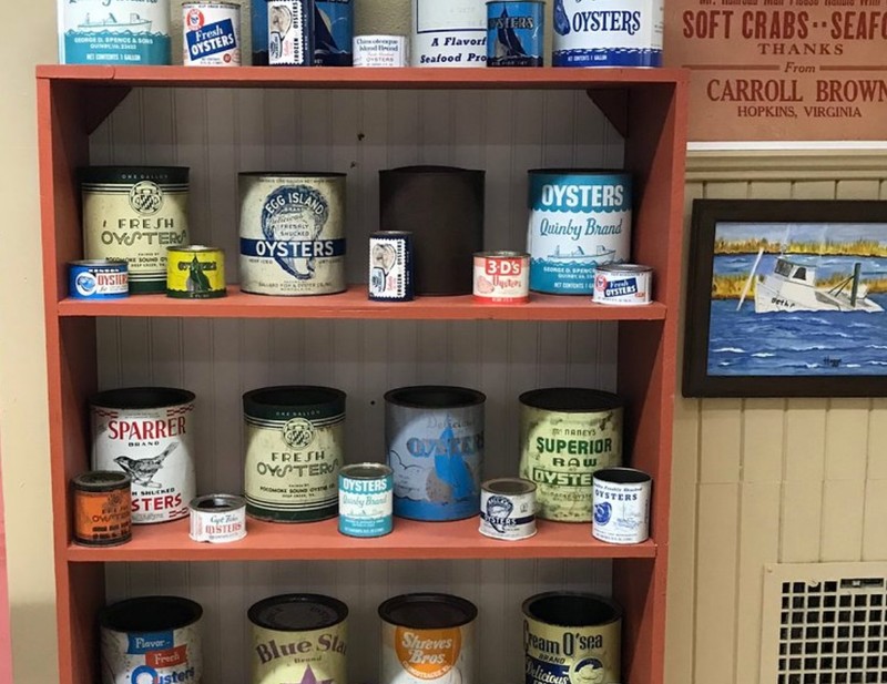 Shelf, Furniture, Product, Blue