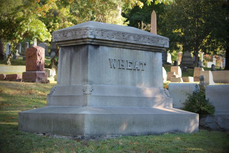 Plant, Tree, Headstone, Cemetery