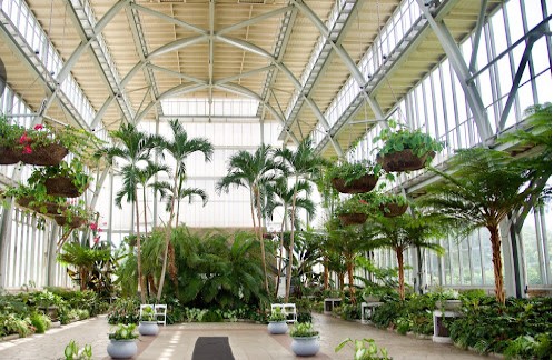 Plant, Building, Greenhouse, Architecture