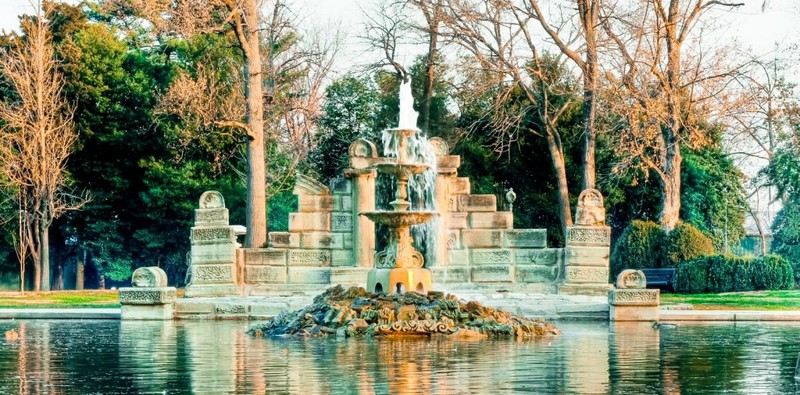 Water, Plant, Daytime, World