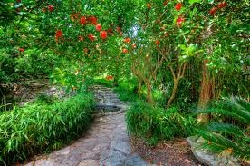 Zilker Botanical Garden