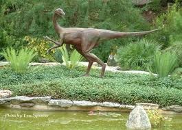 Hartman Prehistoric Garden, Zilker Botanical Garden 