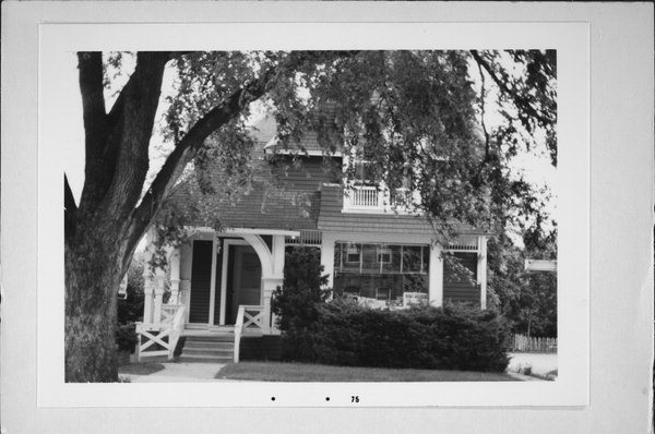 Plant, Building, Window, Tree