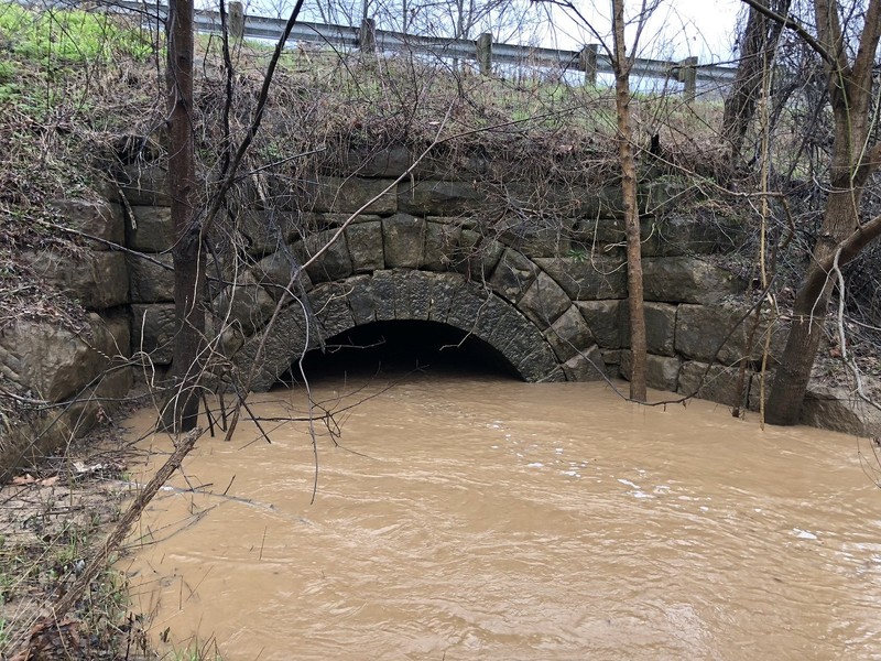 Downstream opening, April 3, 2018