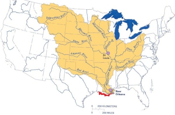 Map, Vertebrate, World, Atlas