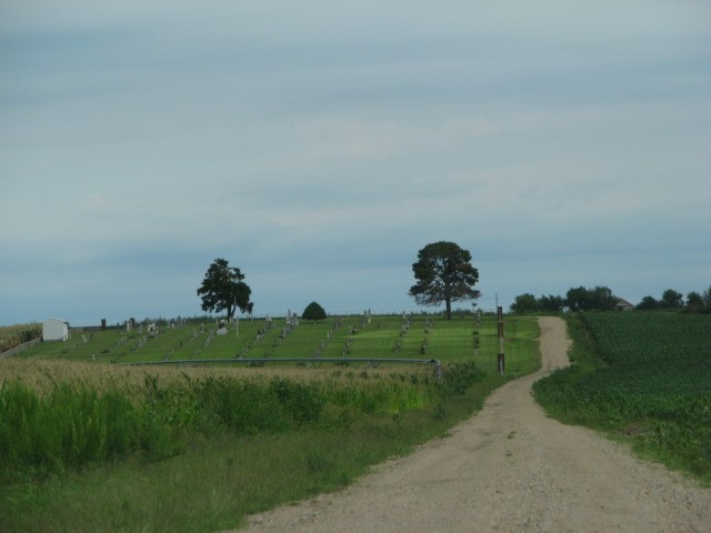 Road to Pleasant View Cemetery in Vining, Kansas. Photo by Carol Mills.