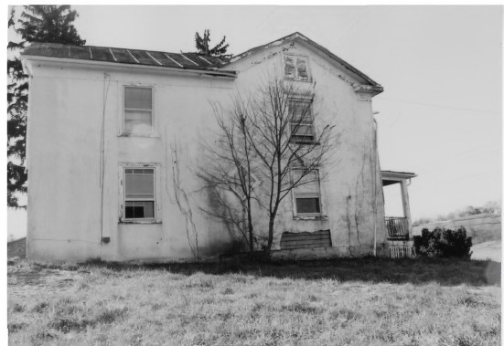 Building, Plant, Window, House