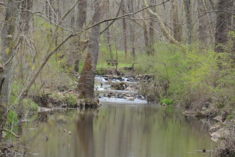 View looking up Concord Creek