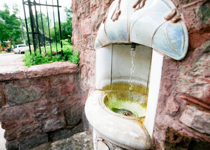 Plant, Wood, Grass, Plumbing fixture