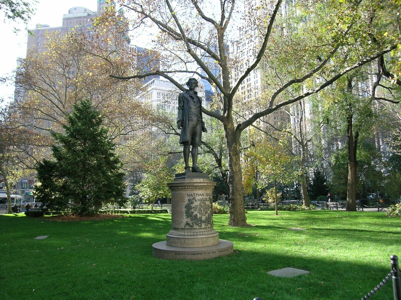 Plant, Branch, Sculpture, Park