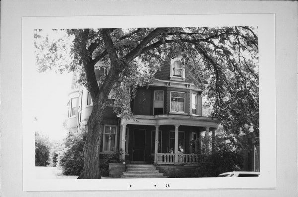 Building, Plant, Window, Tree