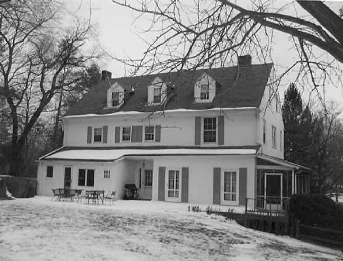 Window, Branch, Property, House