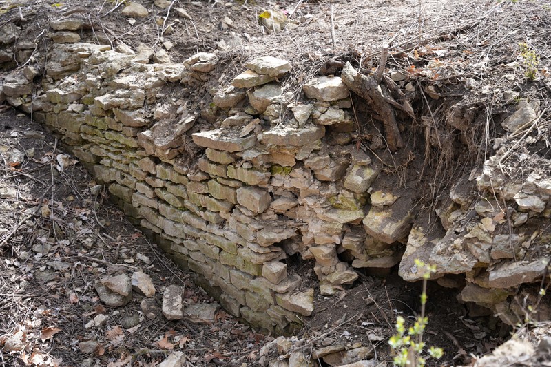 Wood, Bedrock, Plant, Natural material