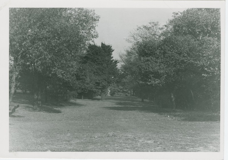 Woodland Trail Mt. Echo Park Vista 1930s 

Source: Ohio History Connection
Persistent URL: http://www.ohiomemory.org/cdm/ref/collection/p267401coll34/id/7305