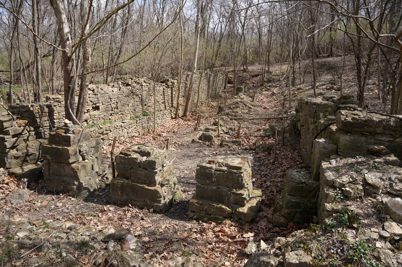 Natural landscape, Wood, Bedrock, Plant