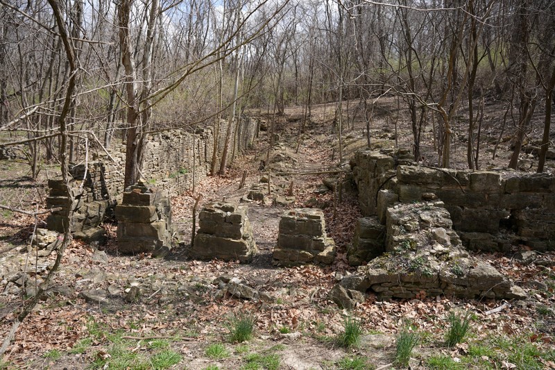 Plant, Bedrock, Natural landscape, Wood