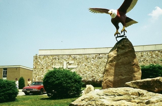 The eagle statue located outside of Woodrow Wilson High School. 