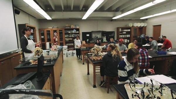 Students participating in lab exercises at the Gaston Science Building in 2018. Source: Gaston Gazette, August 2018.
