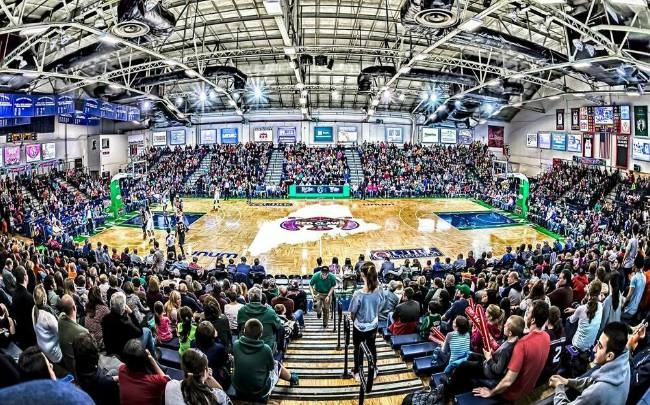 Maine Red Claws