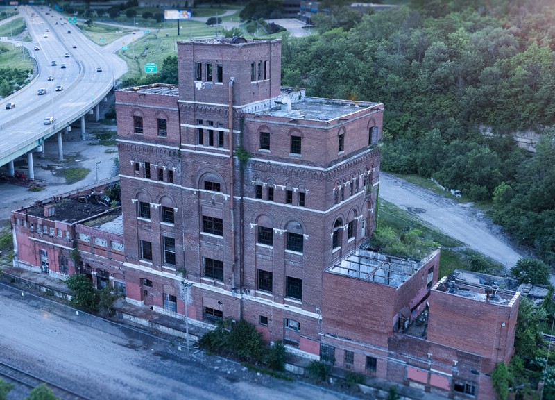 Plant, Property, Building, Window