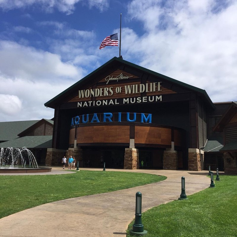 The Wonders of Wildlife Museum & Aquarium opened in 2017 and offers visitors a world-class museum experience typically found in larger cities. It is dedicated to conservation and wildlife.