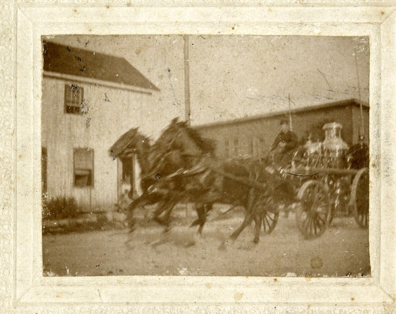 Firefighter in horse drawn fire engine, St. Petersburg, Florida, circa 1890s. 