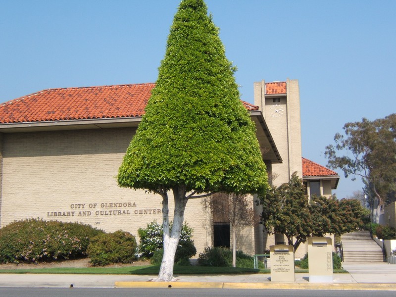 Sky, Plant, Building, Property