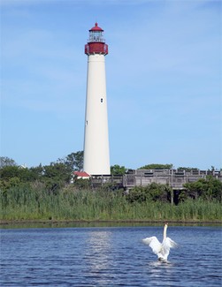 This photo was taken in 2006 of the lighthouse. 