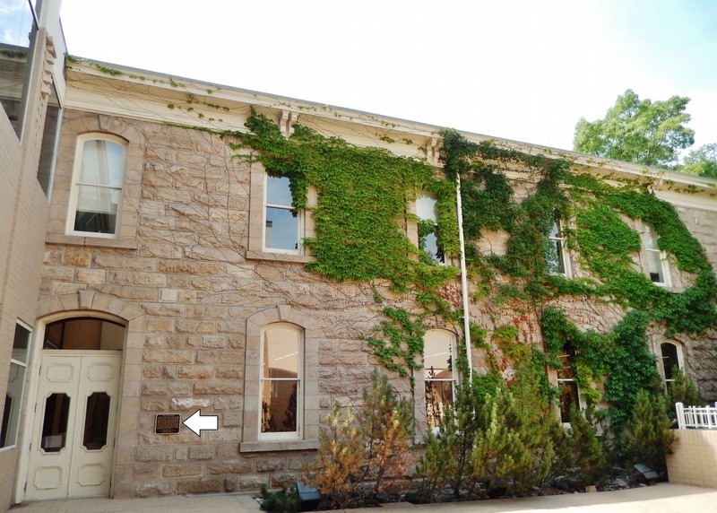 Plant, Window, Building, Sky