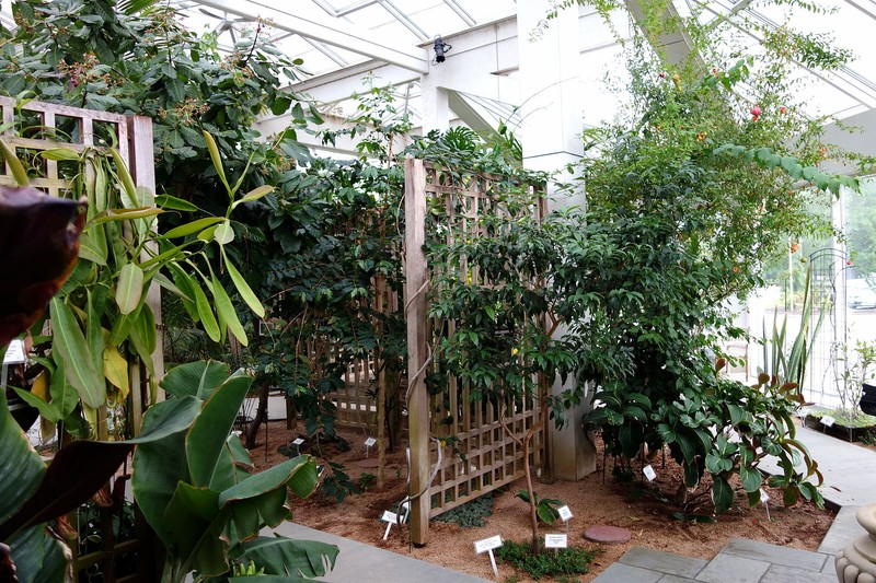 Interior of the conservatory