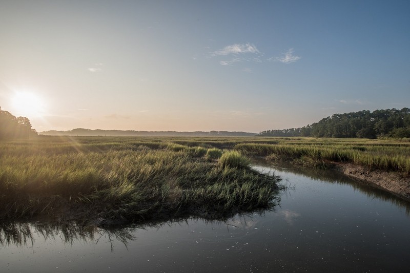 Scenery is available to view at the Vereen Memorial Historical Gardens.
