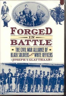 Learn more about the relationship between white officers and Black soldiers in the war from historian Joseph Glatthaar