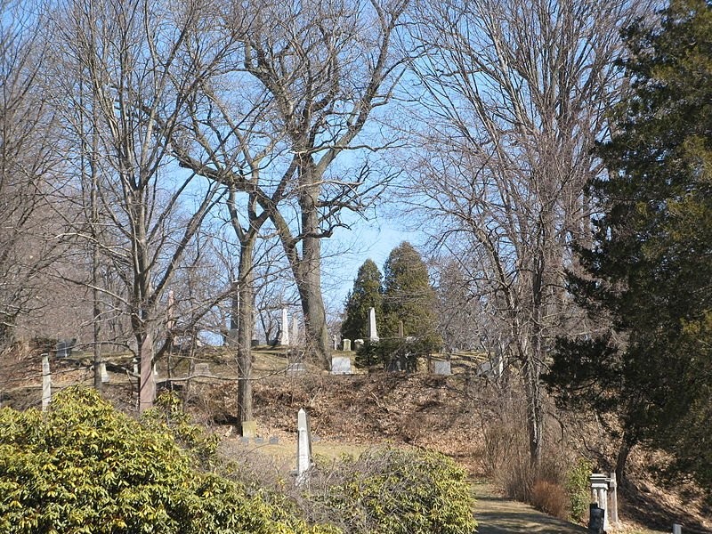 Springfield Cemetery was established in 1841. 