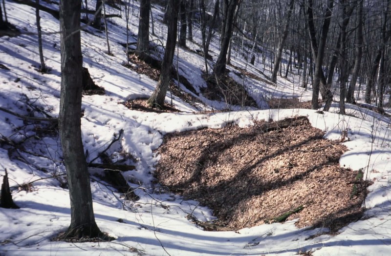 Example of a large quarry pit.